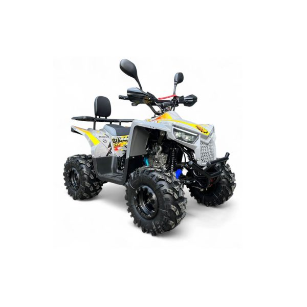 BERRETA BULLDOG 125