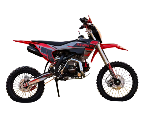 Berreta TR4 125